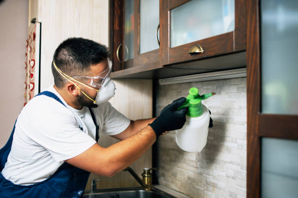 Best Wildlife Control Services  in Yorkvle, IL
