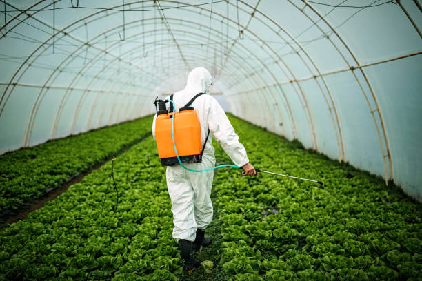 Pest Control Cost in Yorkville, IL