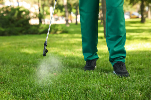 Best Pest Prevention Services  in Yorkvle, IL