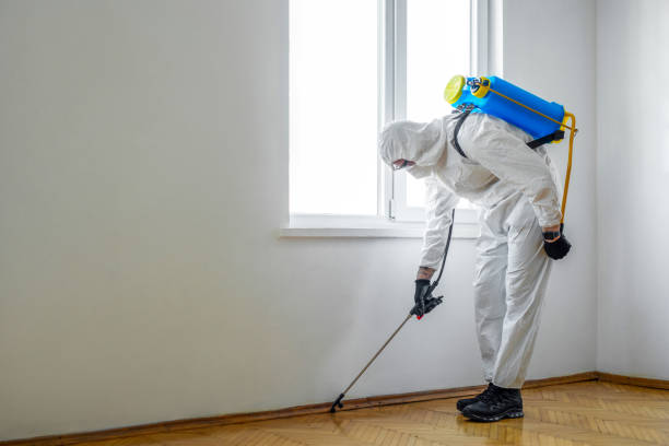 Best Mosquito Control Services  in Yorkvle, IL