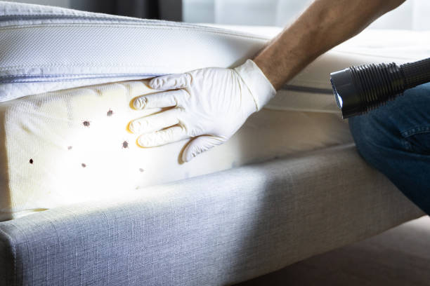 Wildlife Control Services in Yorkville, IL