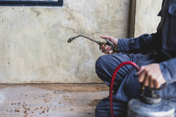 Best Residential Pest Control  in Yorkvle, IL